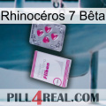Rhinocéros 7 Bêta 32
